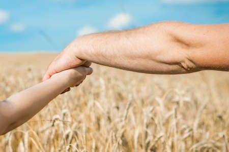 Young couple holding hands in the wheat field on sunny summer day.の写真素材