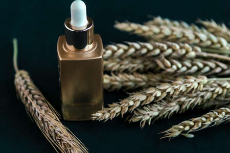 Wheat and barley natural cosmetic. Cosmetic bottle and wheat ears on black background.の写真素材