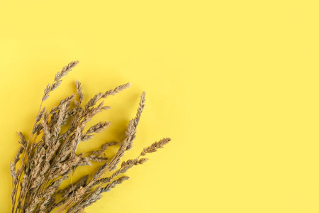 Bouquet of dried flowers on yellow background, top view.の写真素材