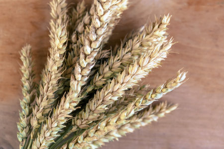 Wheat spikelets on wooden background, top viewの写真素材