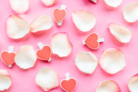 White rose petals on pink background. Valentineâs Day backgroundの写真素材