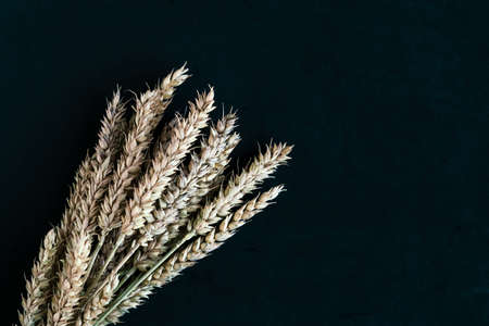 Bouquet of wheat ears on black background, top view, copy space for the textの写真素材