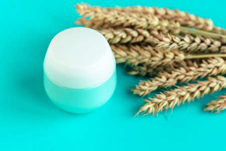 Cosmetic jar and wheat ears on blue background - natural cosmetic productの写真素材