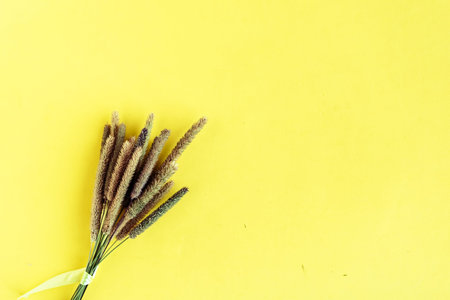 Bouquet of dried flowers on yellow background, top view.