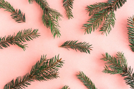 Fir branches pattern on pink background. Christmas festive background