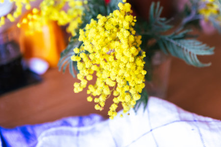 Blooming mimosa branch, close upの写真素材