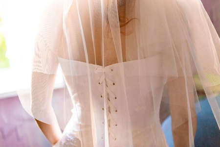 Young bride with a veil, view from the backの写真素材