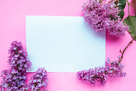Blooming lilac branches and white mockup blank on pink background. Mother's Day greeting cardの写真素材