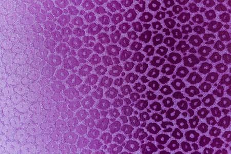 Purple abstract festive background with leopard pattern. Template for designer.の写真素材