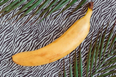 Fresh tasty banana on black and white background. Healthy food concept. Minimal conceptの写真素材