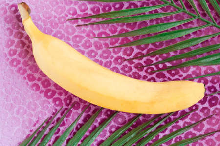 Fresh tasty banana on purple background. Healthy food concept. Minimal conceptの写真素材