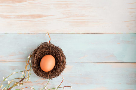 Chicken egg in the nest willow branch on wooden background. top view. copy spaceの写真素材