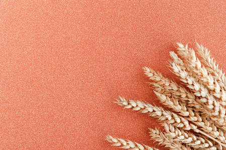 Bunch of wheat ears on color glitter background. Agriculture concept in minimalist style. Copy space for the textの写真素材