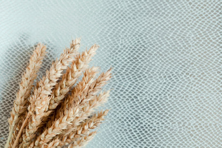 Bunch of wheat ears on silver background. Agriculture concept in minimalism style. Copy space for the textの写真素材