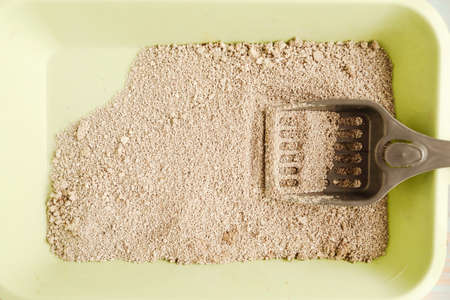 Tray with cat litter and shovel. Sand for pets toiletの写真素材