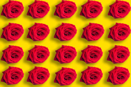 Seamless pattern of red roses on bright yellow backgroundの写真素材