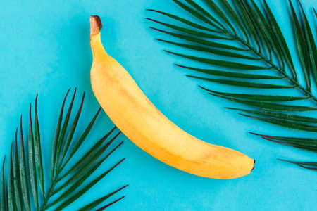 Fresh tasty banana on bright blue background. Healthy food concept. Minimal conceptの写真素材