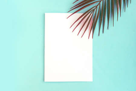 Green palm leaf and white mockup blank on blue pastel backgroundの写真素材