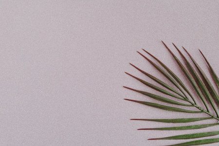 Tropical palm leaf on pink glitter background. Copy space for the text