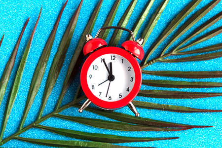 Alarm clock and palm leaf on blue bright background.の写真素材