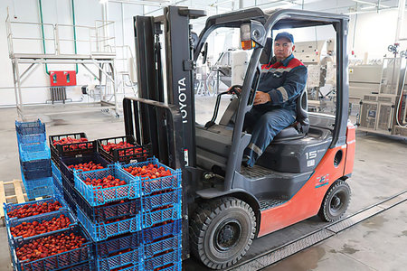 Minsk Belarus â€“ February 2 2021: Strawberry factory with automatic machine