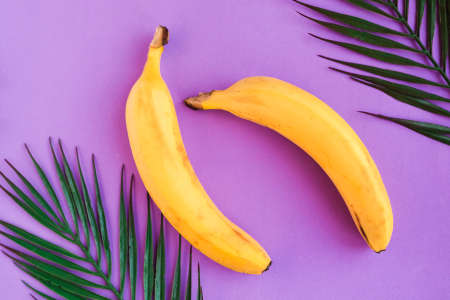 Fresh tasty yellow bananas on purple background. Healthy food concept. Minimal conceptの写真素材