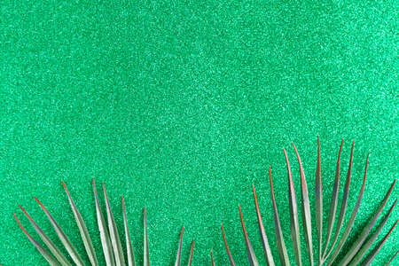 Palm tree branches on green glitter background. minimal concept. copy spaceの写真素材