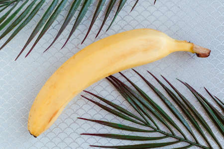 Fresh tasty yellow banana on gray background. Healthy food concept. Minimal conceptの写真素材