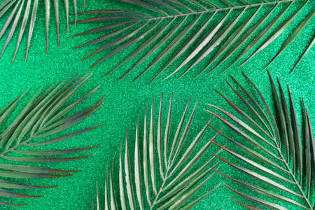 Green palm leaves pattern on green glitter backgroundの写真素材