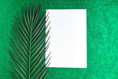 Green palm leaf and white mockup blank on green glitter backgroundの写真素材