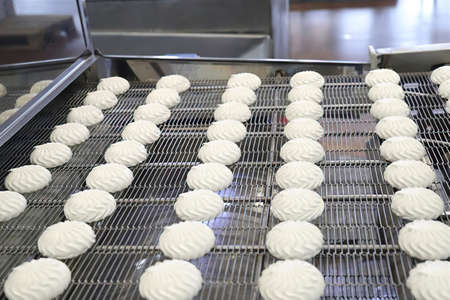 Marshmallow production line. Factory for the production of confectionery productsの写真素材