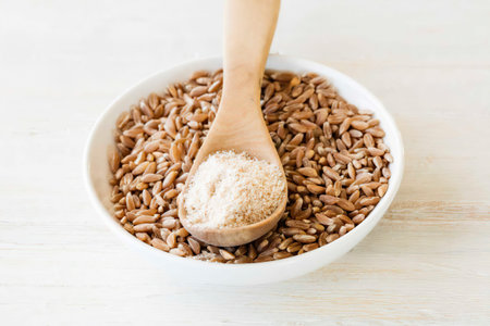 Emmer in bowl as grain and flourの写真素材