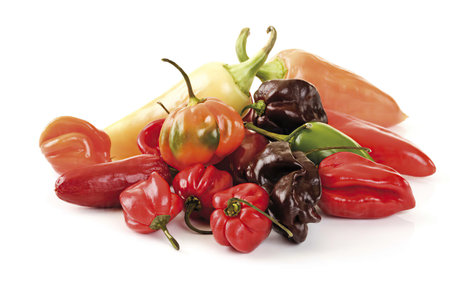 Peppersの写真素材