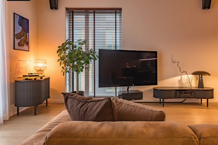 interior of modern living room with tv set and sofa, nobody insideの写真素材