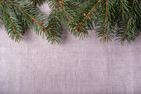 Christmas fir tree branch on linen background. Christmas and New Year concept. Natural spruce coniferous green branches on a grey linen tablecloth background. Festive decorationの写真素材