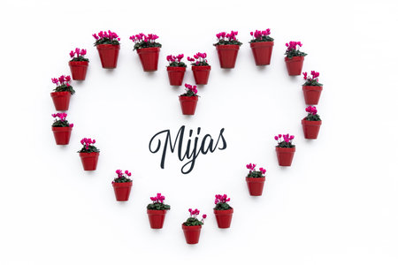 Flowers in a pot in the shape of heart on white background