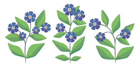 Set with decorative plants. Cute decorative art flowers, leaves on branches in collection. Small flowers twigs isolated on white background. Vector illustration.のイラスト素材