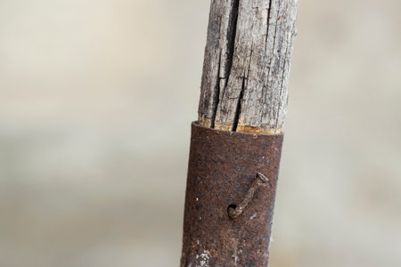 Old rusty dirty shovel. gardening tools and equipment. Concept of a garden work at summer or spring.の写真素材