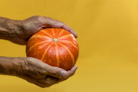 Pumpkin in male hands. Autumn vegetable harvest. Autumn season concept with pumpkin.の写真素材