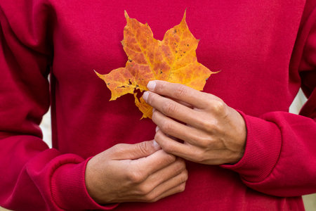 Dry autumn leaves in the hands of a human.Autumn concept.の写真素材