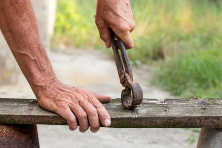 Nail puller is removing the nail from the wooden board. Small carpentry work in the workshop. Home renovation.の写真素材