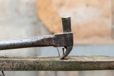 Nail puller is removing the nail from the wooden board. Small carpentry work in the workshop. Home...