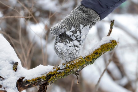 Winter outdoor activities. Walks and games in the cold season.の写真素材