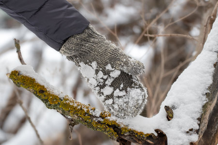 Girl in warm knitted mittens.Winter entertainment.の写真素材