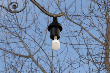 Broken lantern. Broken street lamp in the park.の写真素材