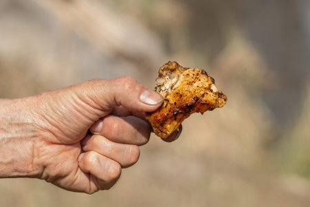 Juicy chicken fried over an open fire.Outdoor spring picnic.の写真素材