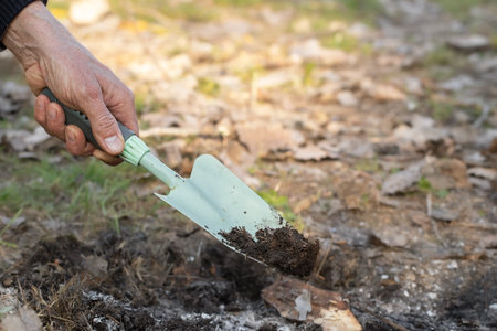 Small garden spatula.A man covers the embers from the fire with earth.The problem of careless handling of fire in nature.の写真素材
