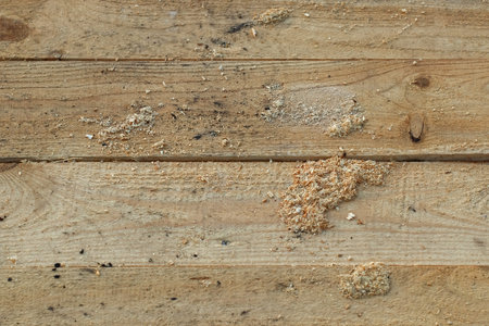 Freshly planed wooden boards with sawdust.Wood texture background.の写真素材