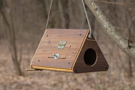 Wooden Bird House on a Tree in the Park.