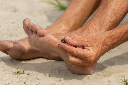 A beach overgrown with grass and weeds.The concept of neglect and desolation.の写真素材